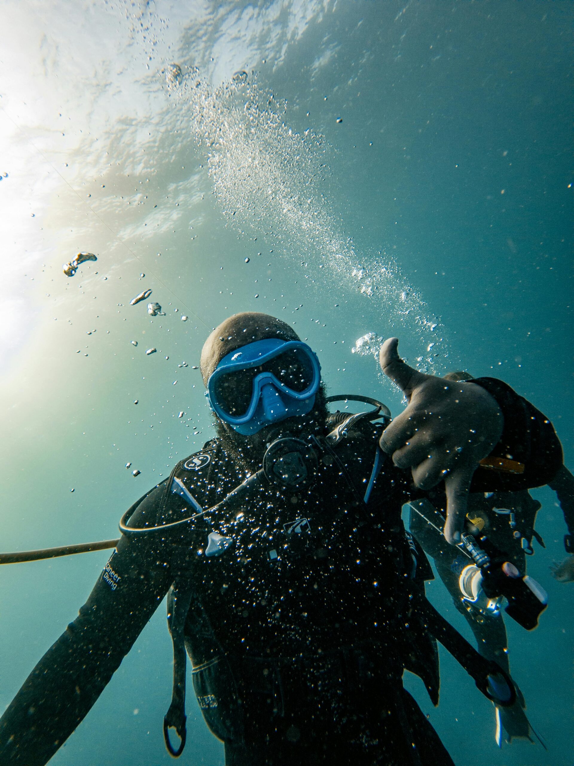 Sipadan | Night dive bioluminescence