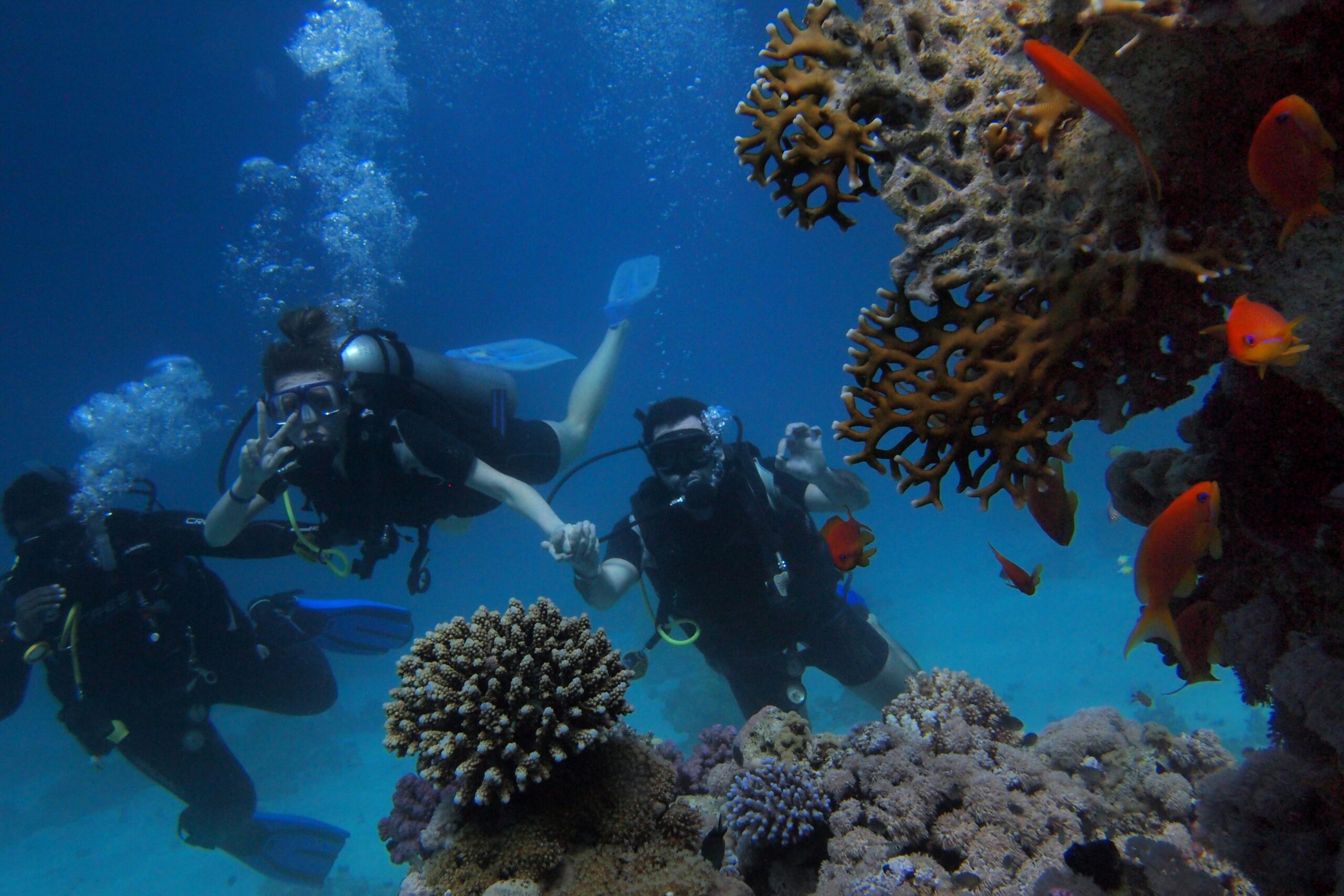 Underwater Scene 3